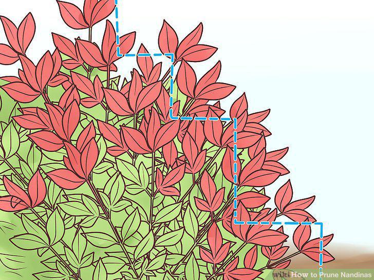 Step 4