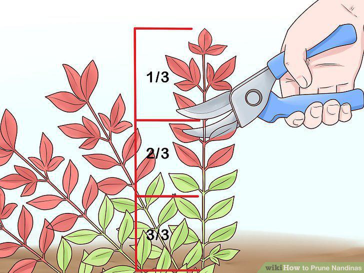 Step 6