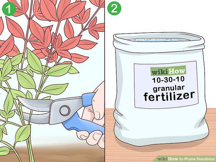 Step 9