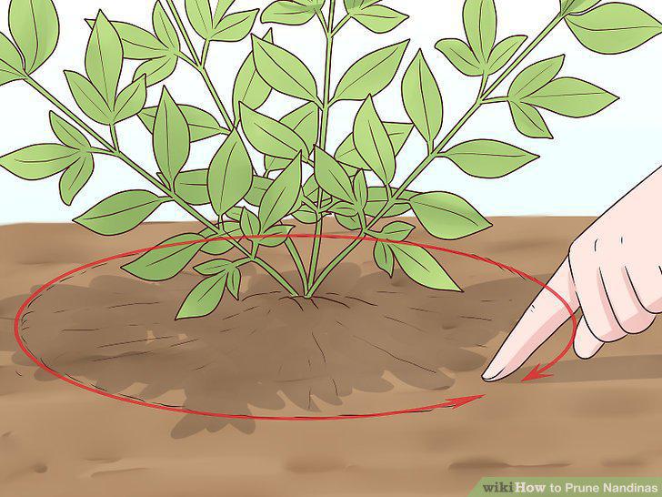 Step 10