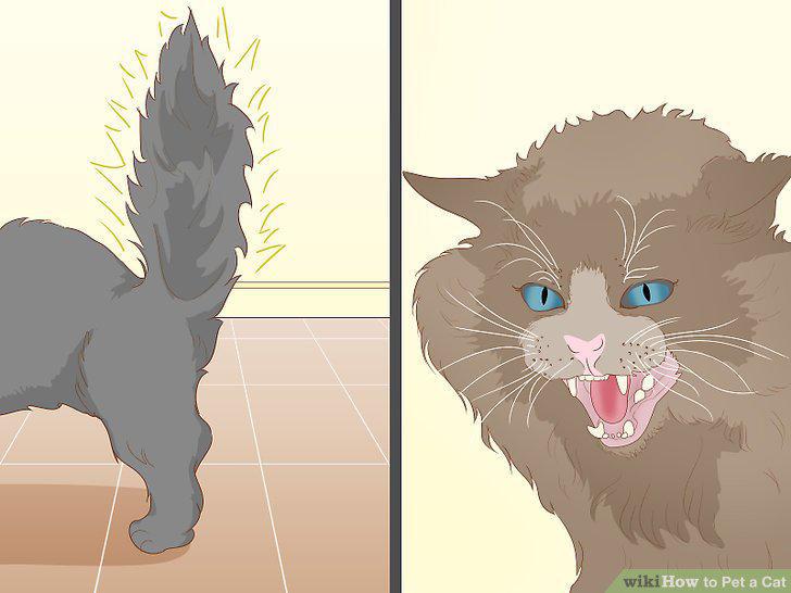Step 11