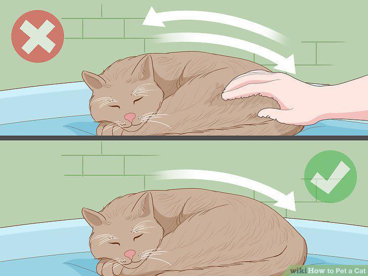Step 12