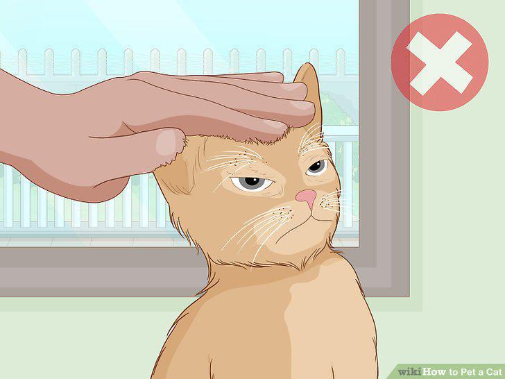 Step 13