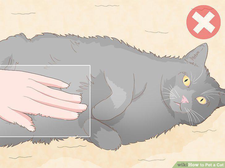 Step 14