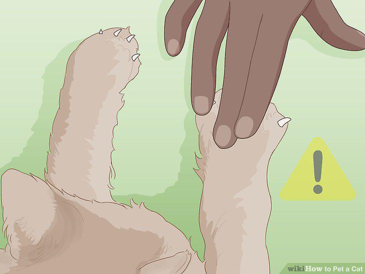 Step 15