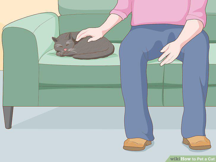 Step 9
