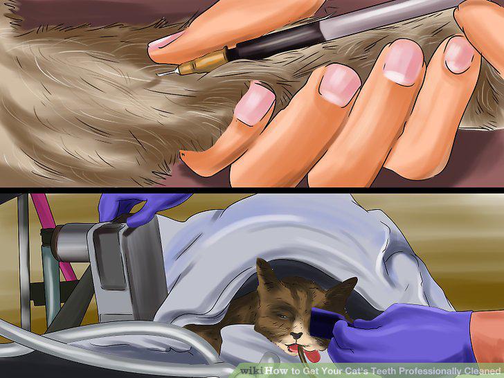 Step 5