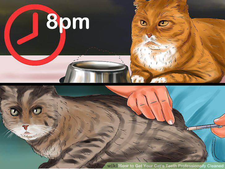 Step 6