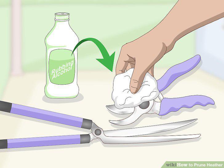 Step 4