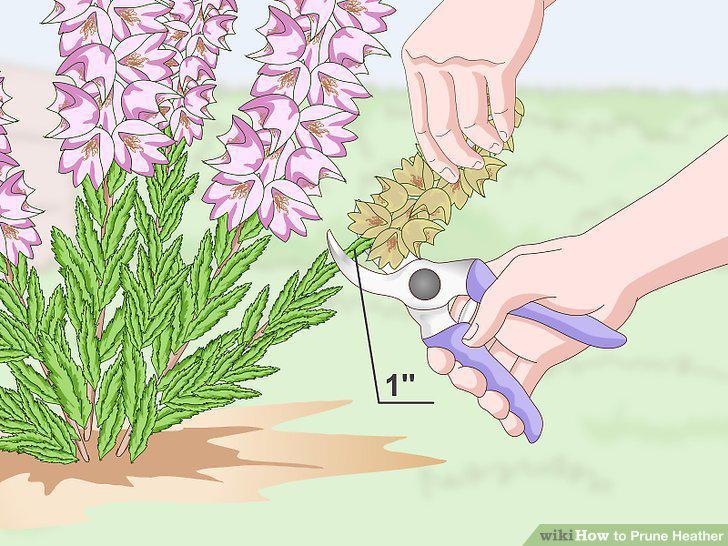 Step 6