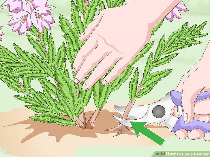 Step 8