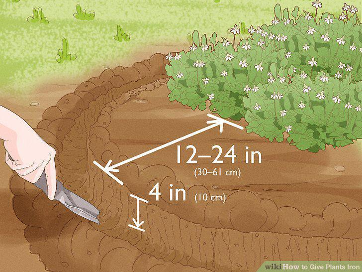 Step 11