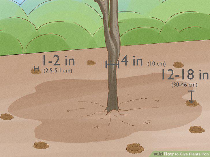 Step 12
