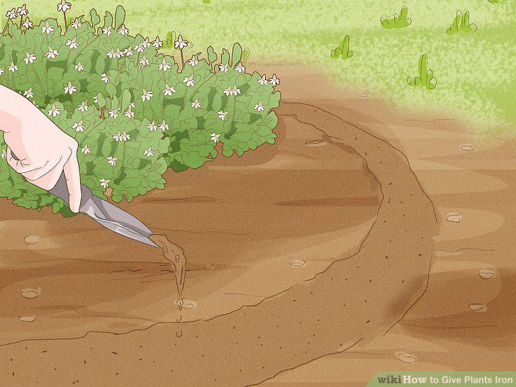 Step 14