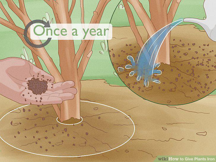 Step 9
