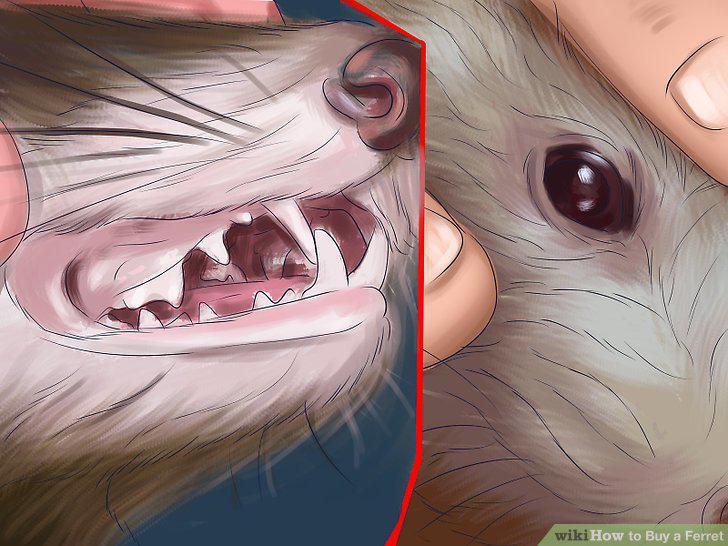 Step 14