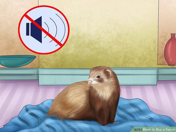 Step 17