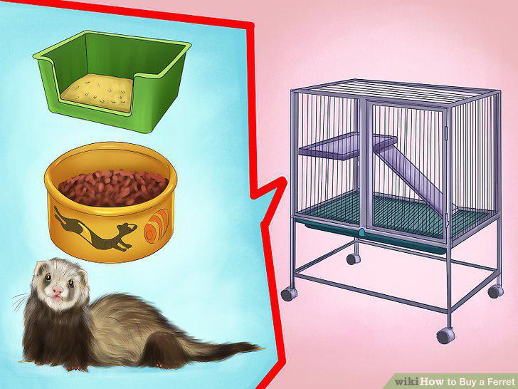 Step 18