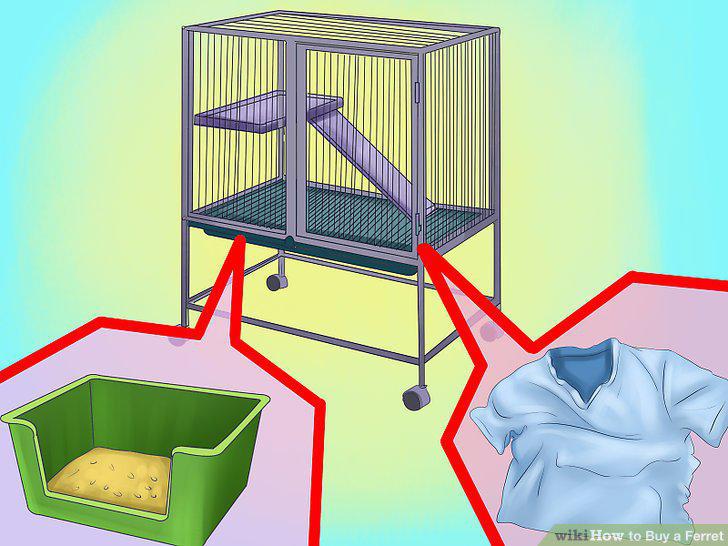 Step 7