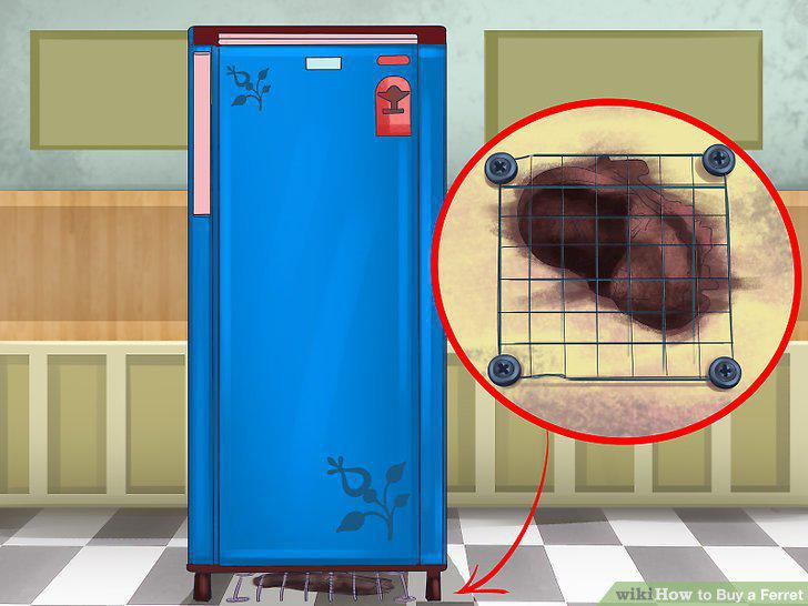 Step 10
