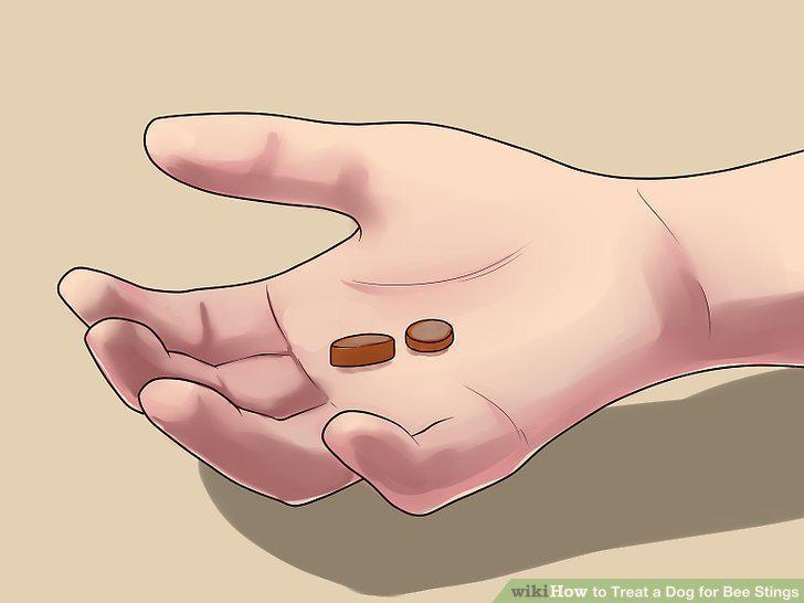 Step 12