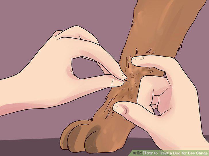 Step 6