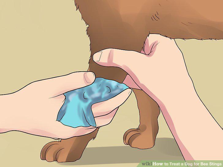 Step 8