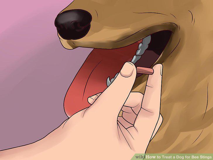Step 9