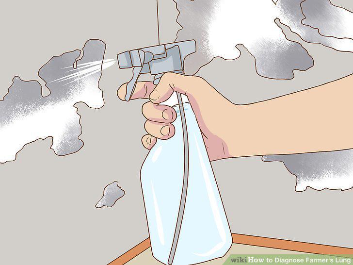 Step 11