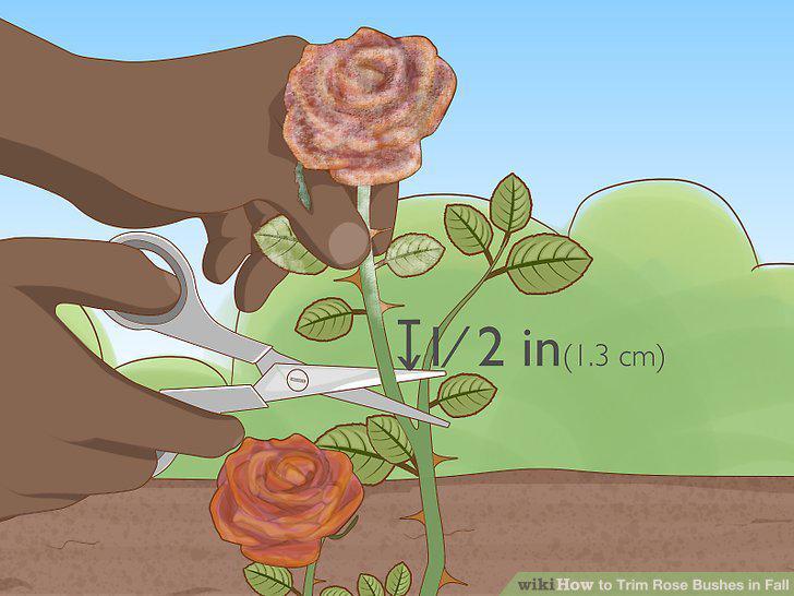 Step 9