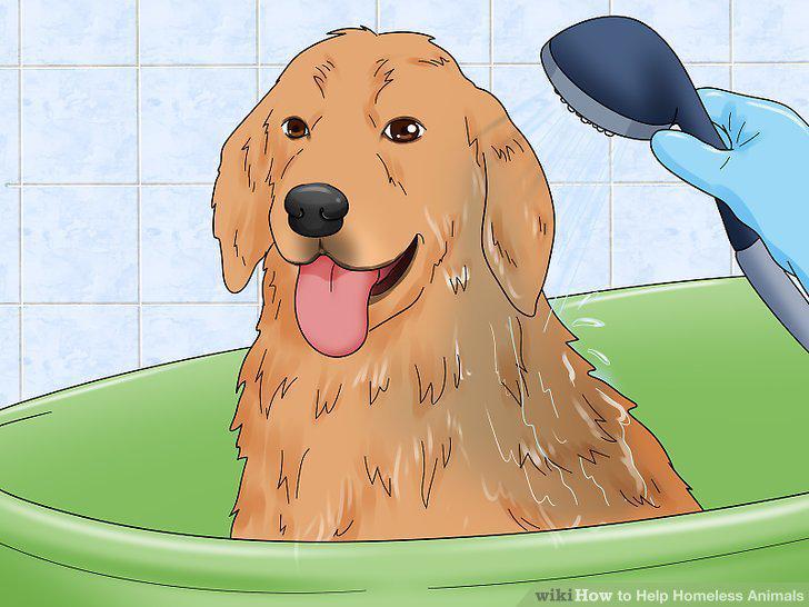 Step 11