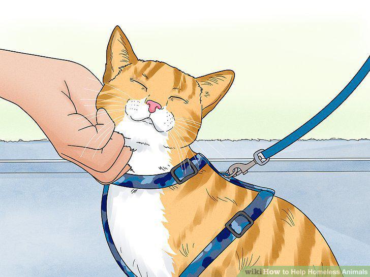 Step 14