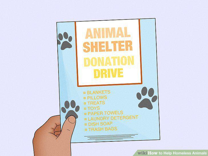 Step 16