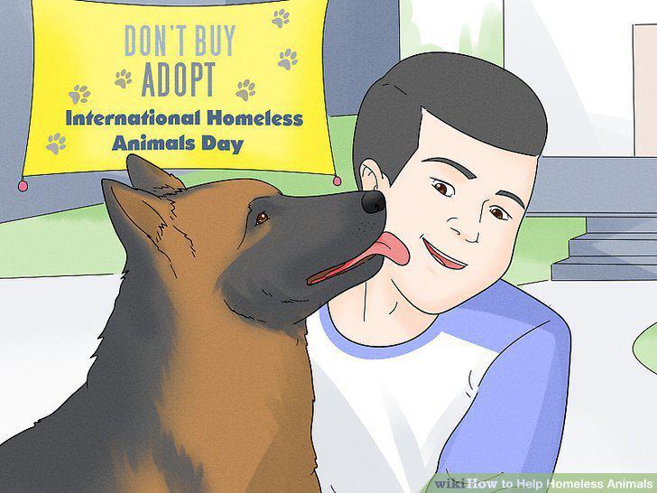 Step 18