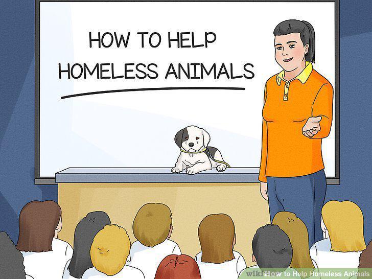Step 20