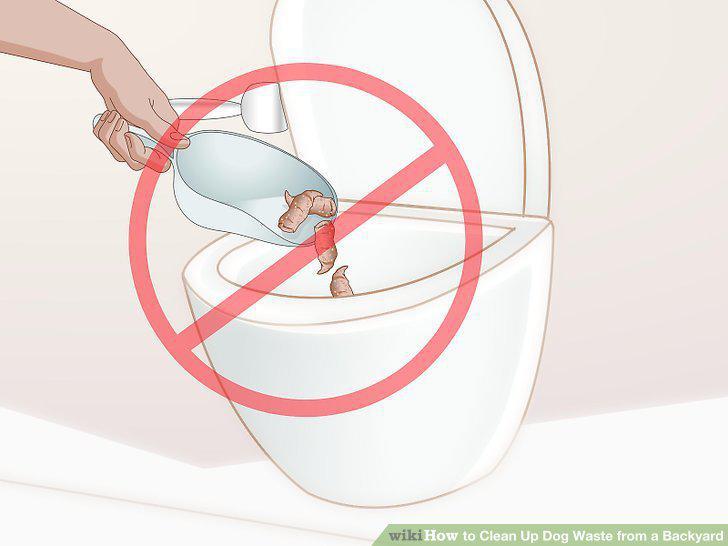 Step 11