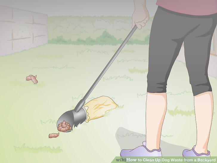 Step 5