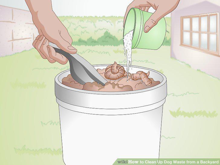 Step 10