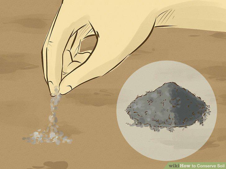 Step 12