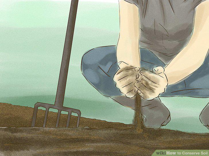 Step 7
