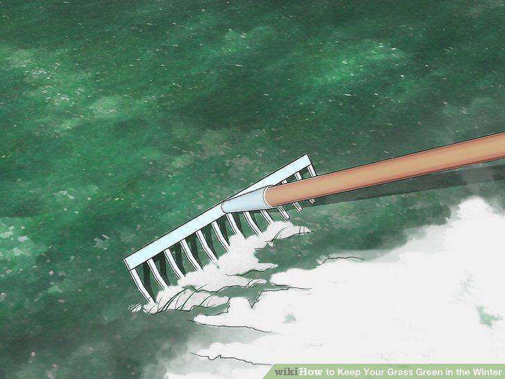 Step 10