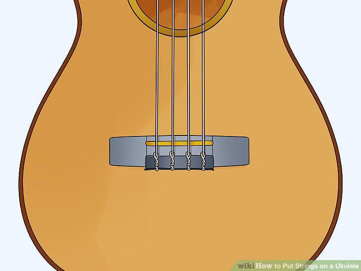 Step 5