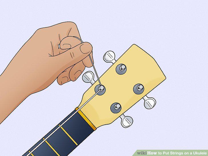 Step 6