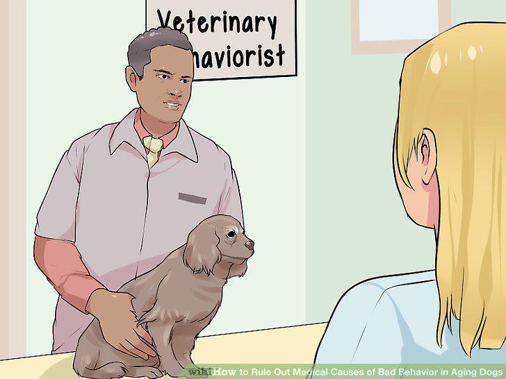 Step 11