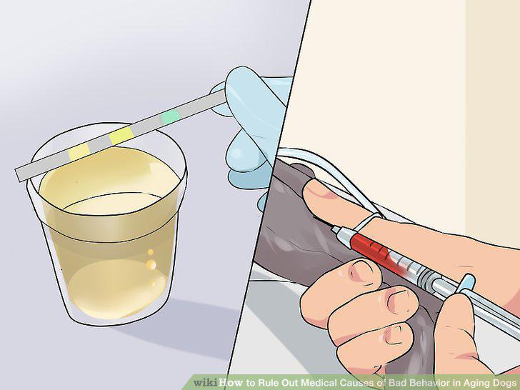 Step 8