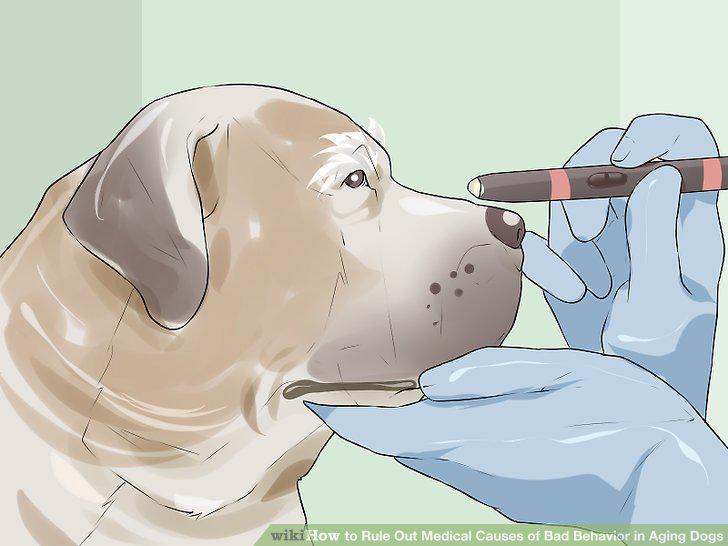 Step 10