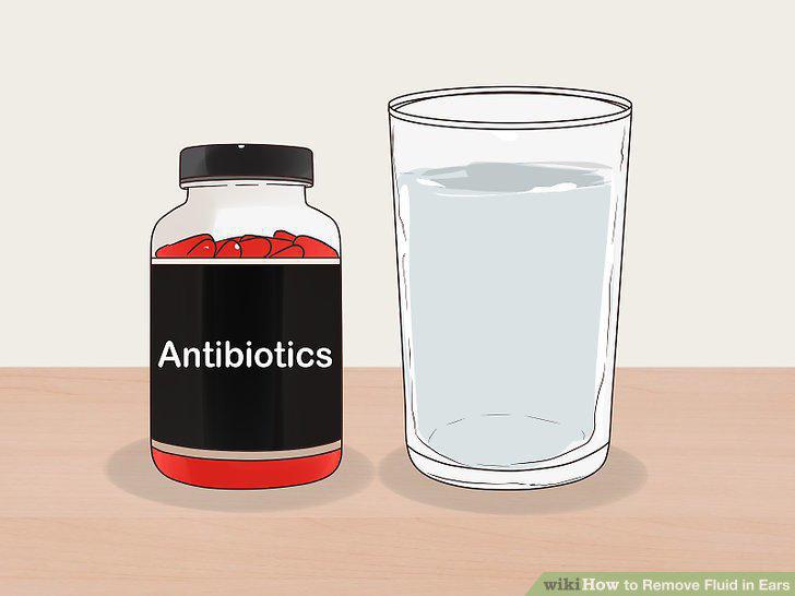 Step 15