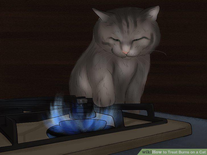 Step 13