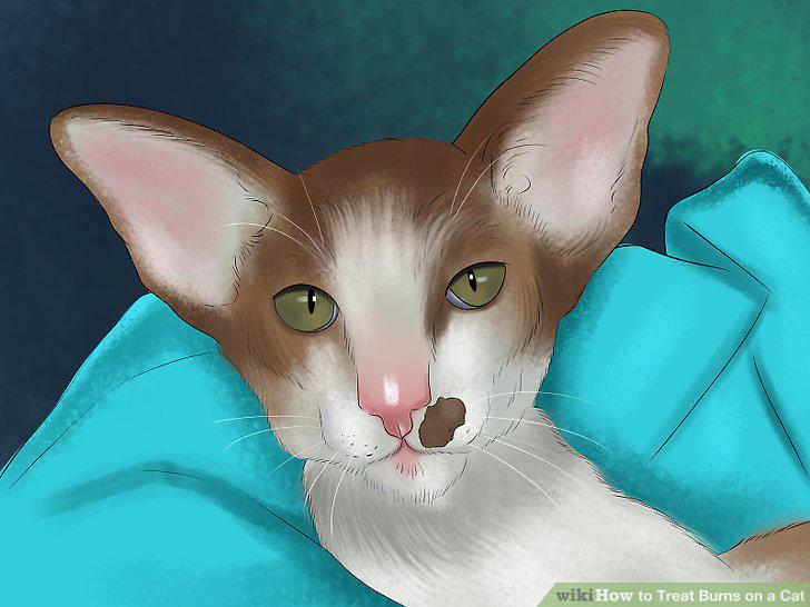 Step 14