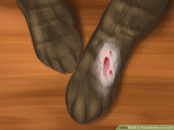 Step 15